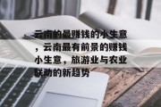 云南的最赚钱的小生意,云南最有前景的赚钱小生意,旅游业与农业联动的新趋势 云南的最赚钱的小生意,云南最有前景的赚钱小生意,旅游业与农业联动的新趋势