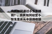农民如何通过小生意赚钱?,农民如何经营小型生意并从中获得收益? 农民如何通过小生意赚钱?,农民如何经营小型生意并从中获得收益?