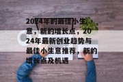 2024年的最佳小生意,新的增长点,2024年最新创业趋势与最佳小生意推荐,新的增长点及机遇