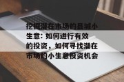 挖掘潜在市场的县城小生意: 如何进行有效的投资，如何寻找潜在市场的小生意投资机会