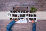 陕西早市小生意赚钱吗?现在,陕西早市创业的盈利模式分析与策略
