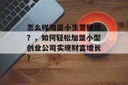 怎么样加盟小生意赚钱?,如何轻松加盟小型创业公司实现财富增长?