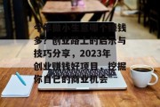 今年做小生意哪个赚钱多？创业路上的启示与技巧分享，2023年创业赚钱好项目，挖掘你自己的商业机会