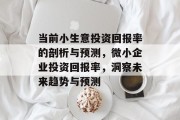 当前小生意投资回报率的剖析与预测，微小企业投资回报率，洞察未来趋势与预测