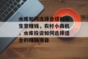 水库如何选择合适的小生意赚钱,农村小商机,水库投资如何选择适合的赚钱项目