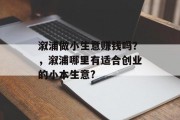 溆浦做小生意赚钱吗?,溆浦哪里有适合创业的小本生意?