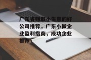 广东省赚取小生意的好公司推荐,广东小微企业盈利指南,成功企业推荐