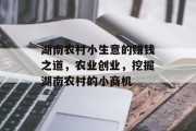 湖南农村小生意的赚钱之道,农业创业,挖掘湖南农村的小商机 湖南农村小生意的赚钱之道,农业创业,挖掘湖南农村的小商机