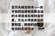 百万头脑生财术——关于如何选择和实施合适的小项目来实现财富积累,万元小项目助你积累财富,聪明的选择与有效的实践方法
