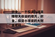 织金,一个投资小项目赚取大收益的地方,织金,投资小项目的大财富密码