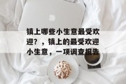 镇上哪些小生意最受欢迎?,镇上的最受欢迎小生意,一项调查报告 镇上哪些小生意最受欢迎?,镇上的最受欢迎小生意,一项调查报告