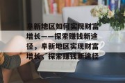 阜新地区如何实现财富增长——探索赚钱新途径,阜新地区实现财富增长,探索赚钱新途径 阜新地区如何实现财富增长——探索赚钱新途径,阜新地区实现财富增长,探索赚钱新途径
