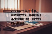 2021年什么小生意可以赚大钱,年度热门小生意排行榜,赚大钱的商机在此! 2021年什么小生意可以赚大钱,年度热门小生意排行榜,赚大钱的商机在此!