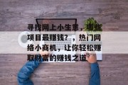寻找网上小生意，哪些项目最赚钱？，热门网络小商机，让你轻松赚取财富的赚钱之道