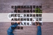 北方赚钱的小生意选择,机会、市场与你自己的定位,小本创业赚取大钱的农村生意,让你轻松月入万元,经营赚钱的副业 北方赚钱的小生意选择,机会、市场与你自己的定位,小本创业赚取大钱的农村生意,让你轻松月入万元,经营赚钱的副业