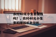 农村40元小生意赚钱吗?,农村40元小生意的赚钱机会分析 农村40元小生意赚钱吗?,农村40元小生意的赚钱机会分析