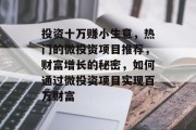 投资十万赚小生意,热门的微投资项目推荐,财富增长的秘密,如何通过微投资项目实现百万财富 投资十万赚小生意,热门的微投资项目推荐,财富增长的秘密,如何通过微投资项目实现百万财富