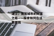 湛江,海滨城市的财富之路——探索如何在这里赚钱 湛江,海滨城市的财富之路——探索如何在这里赚钱
