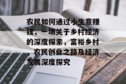 农民如何通过小生意赚钱，一场关于乡村经济的深度探索，富裕乡村，农民创业之路及经济发展深度探究