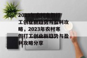 2023年农村寒假打工创业新趋势与盈利攻略，2023年农村寒假打工创业新趋势与盈利攻略分享