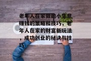 老年人在家做的小生意赚钱的策略和技巧,老年人在家的财富新玩法,成功创业的秘诀与技巧 老年人在家做的小生意赚钱的策略和技巧,老年人在家的财富新玩法,成功创业的秘诀与技巧