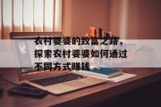 农村婆婆的致富之路,探索农村婆婆如何通过不同方式赚钱