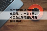 小生意如何通过理财实现盈利?,一目了然,小型企业如何通过理财实现盈利 小生意如何通过理财实现盈利?,一目了然,小型企业如何通过理财实现盈利