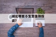 湖北哪些小生意值得投资? 湖北哪些小生意值得投资?