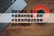 农业与创业，在小生意中实现农村致富，农村小生意如何通过农业和创业实现致富?