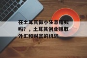 在土耳其做小生意赚钱吗?,土耳其创业赚取外汇和财富的机遇 在土耳其做小生意赚钱吗?,土耳其创业赚取外汇和财富的机遇