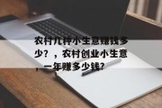 农村几种小生意赚钱多少?,农村创业小生意,一年赚多少钱? 农村几种小生意赚钱多少?,农村创业小生意,一年赚多少钱?