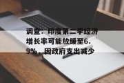 调查:印度第二季经济增长率可能放缓至6.9%,因政府支出减少 调查:印度第二季经济增长率可能放缓至6.9%,因政府支出减少
