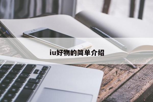 iu好物的简单介绍