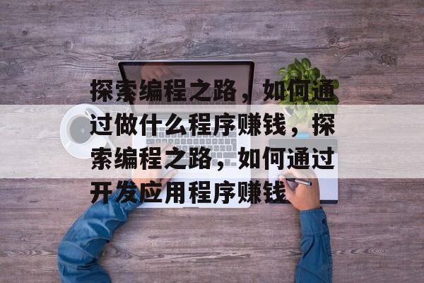 探索编程之路，如何通过做什么程序赚钱，探索编程之路，如何通过开发应用程序赚钱
