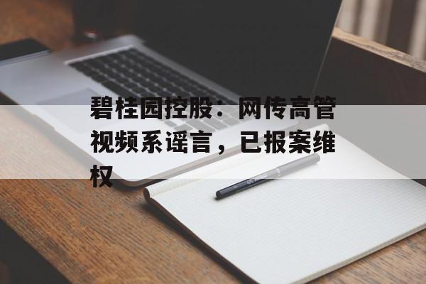 碧桂园控股:网传高管视频系谣言,已报案维权 碧桂园控股:网传高管视频系谣言,已报案维权