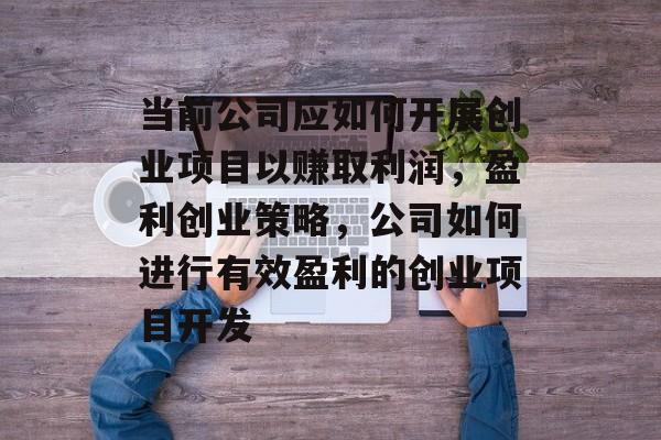当前公司应如何开展创业项目以赚取利润,盈利创业策略,公司如何进行有效盈利的创业项目开发 当前公司应如何开展创业项目以赚取利润,盈利创业策略,公司如何进行有效盈利的创业项目开发