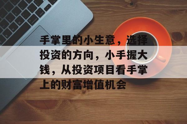 手掌里的小生意,选择投资的方向,小手握大钱,从投资项目看手掌上的财富增值机会 手掌里的小生意,选择投资的方向,小手握大钱,从投资项目看手掌上的财富增值机会