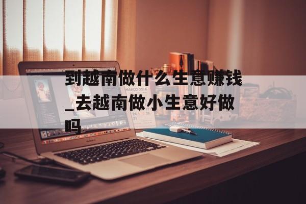 到越南做什么生意赚钱_去越南做小生意好做吗
