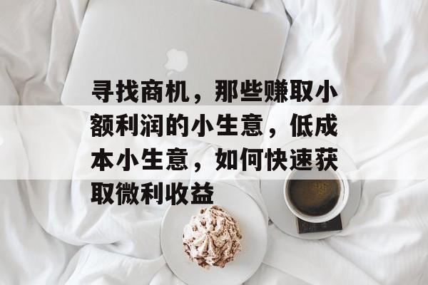 寻找商机,那些赚取小额利润的小生意,低成本小生意,如何快速获取微利收益 寻找商机,那些赚取小额利润的小生意,低成本小生意,如何快速获取微利收益