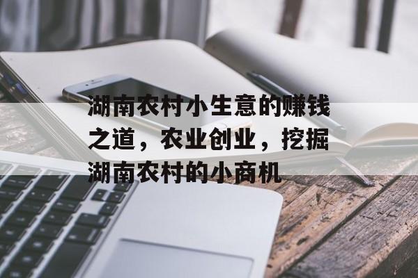 湖南农村小生意的赚钱之道,农业创业,挖掘湖南农村的小商机 湖南农村小生意的赚钱之道,农业创业,挖掘湖南农村的小商机