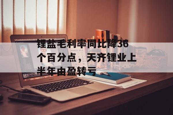 锂盐毛利率同比降36个百分点,天齐锂业上半年由盈转亏 锂盐毛利率同比降36个百分点,天齐锂业上半年由盈转亏
