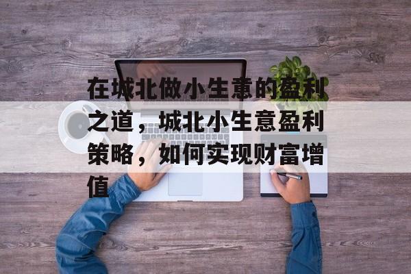 在城北做小生意的盈利之道,城北小生意盈利策略,如何实现财富增值 在城北做小生意的盈利之道,城北小生意盈利策略,如何实现财富增值