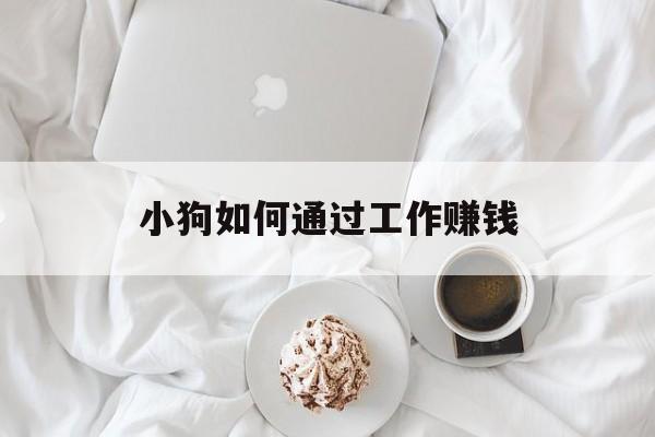 小狗如何通过工作赚钱 小狗如何通过工作赚钱