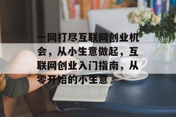 一网打尽互联网创业机会，从小生意做起，互联网创业入门指南，从零开始的小生意
