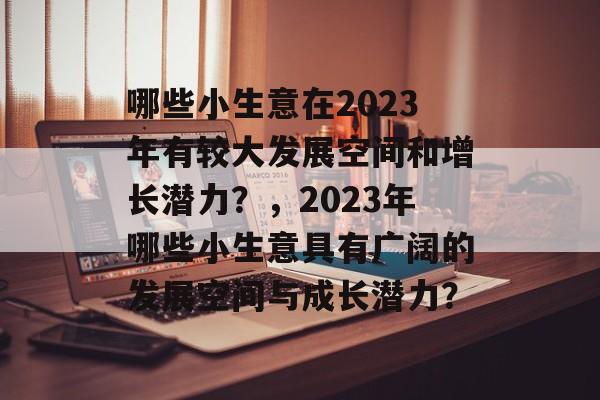 哪些小生意在2023年有较大发展空间和增长潜力?,2023年哪些小生意具有广阔的发展空间与成长潜力? 哪些小生意在2023年有较大发展空间和增长潜力?,2023年哪些小生意具有广阔的发展空间与成长潜力?