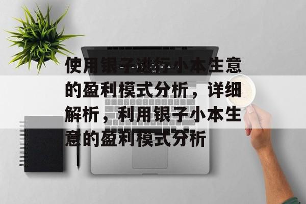 使用银子进行小本生意的盈利模式分析，详细解析，利用银子小本生意的盈利模式分析