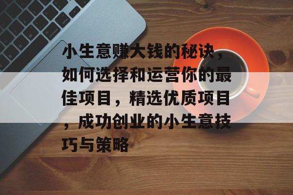 小生意赚大钱的秘诀，如何选择和运营你的最佳项目，精选优质项目，成功创业的小生意技巧与策略