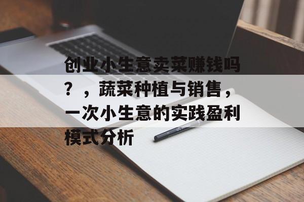 创业小生意卖菜赚钱吗？，蔬菜种植与销售，一次小生意的实践盈利模式分析