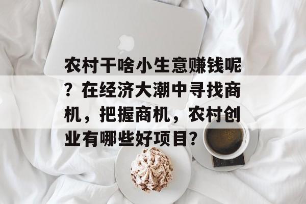农村干啥小生意赚钱呢?在经济大潮中寻找商机,把握商机,农村创业有哪些好项目? 农村干啥小生意赚钱呢?在经济大潮中寻找商机,把握商机,农村创业有哪些好项目?