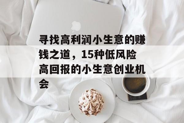 寻找高利润小生意的赚钱之道,15种低风险高回报的小生意创业机会 寻找高利润小生意的赚钱之道,15种低风险高回报的小生意创业机会